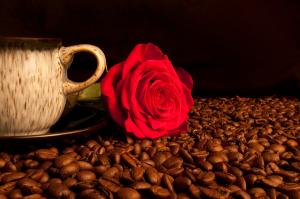 love-coffee-2-dave-parrott